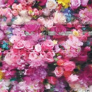 Systeme (White Vinyl)