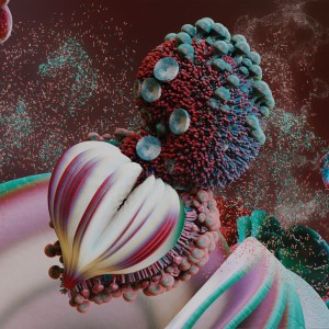 Fossorae (Clear Vinyl)