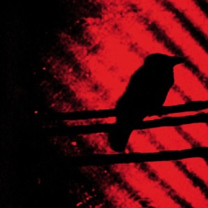 Born Into Trouble as the Sparks Fly Upward.