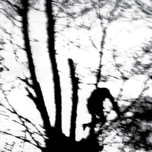 Camouflage Heart (Clear Vinyl)