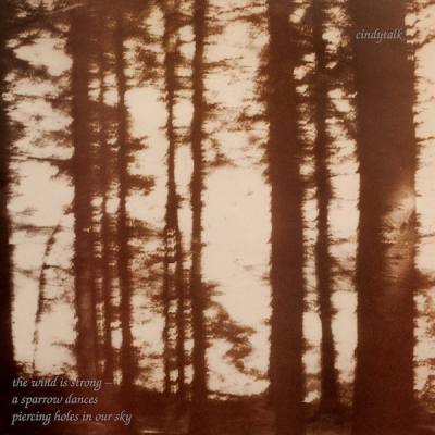 The Wind Is Strong...