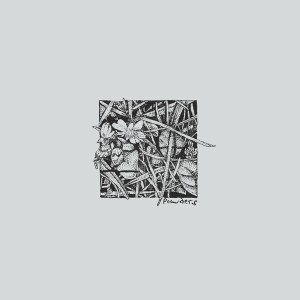 Concede To Circumstance