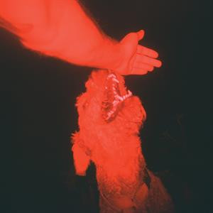 A Trick of the Light (Red Vinyl)