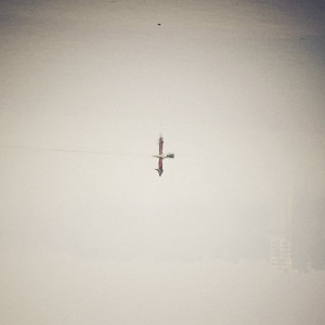 Endling (Clear Vinyl)