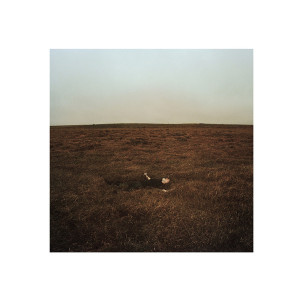 The City Is Coming to Erase It All (Winter Gorse Vinyl)