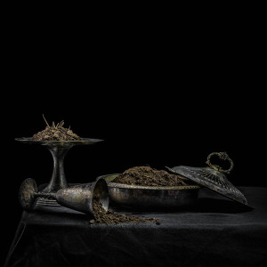 All We Have Is Never (Purple Vinyl)