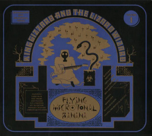 Flying Microtonal Banana