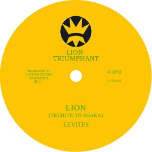 Lion (Tribute to Shaka)
