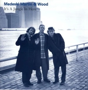 It's a Jungle In Here