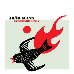 Passarinho Remix
