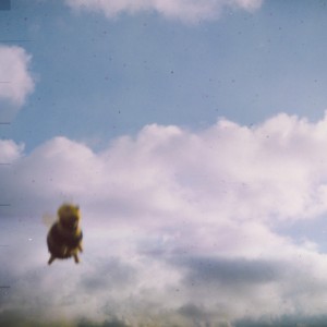 Stung! (Splatter Vinyl)