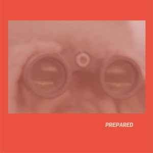 Prepared (Pink Vinyl)