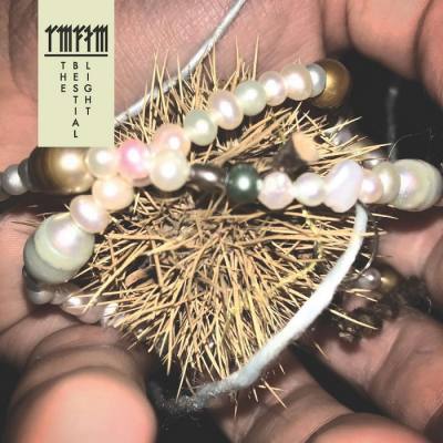 The Bestial Light (Clear Vinyl)