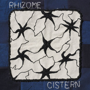 Rhizome