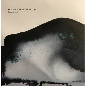 The Edge Of Destruction