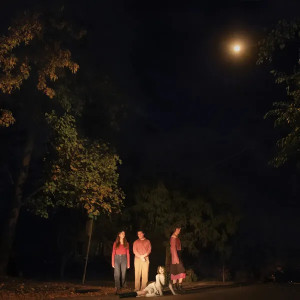 Spring Grove (Blue Hour Vinyl)