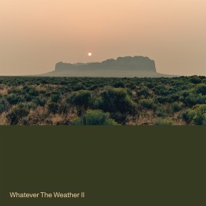 Whatever The Weather II (Green Vinyl)